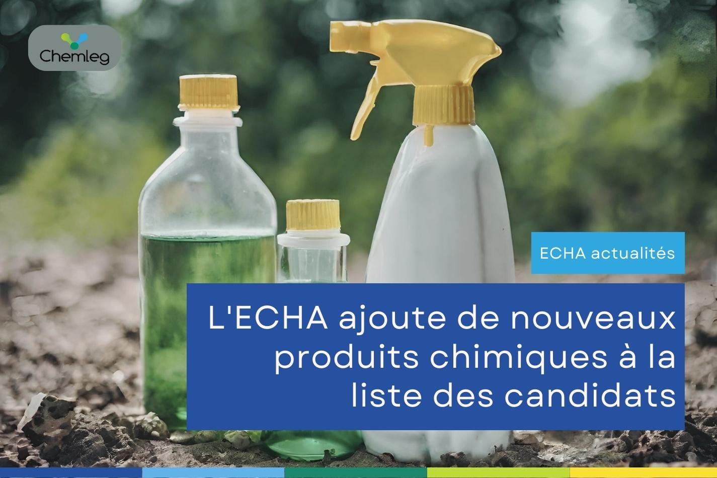 Cinq produits chimiques dangereux ajoutés à la liste des candidats de l'ECHA