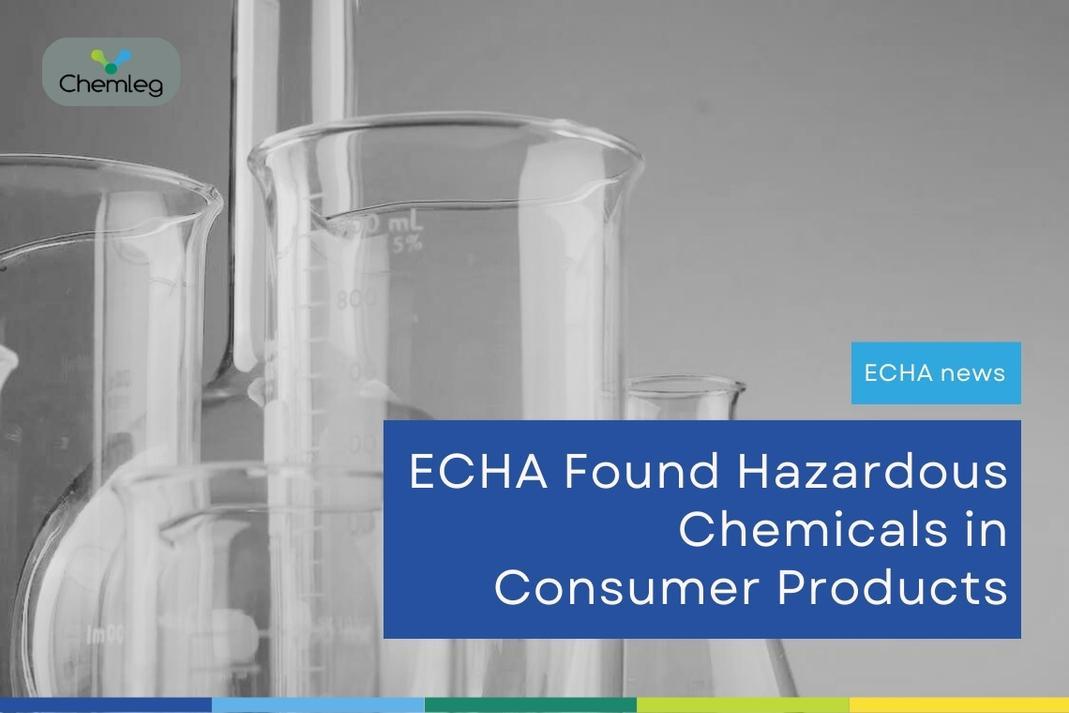 ECHA Found Hazardous Chemicals in Consumer Products