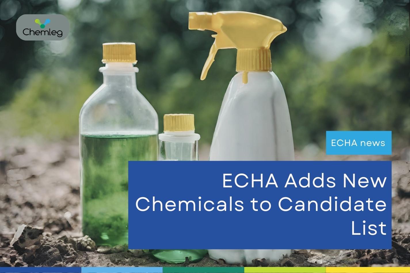 Five Hazardous Chemicals Added to ECHA Candidate List