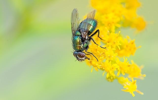 Qu'est-ce qu'un produit biocide?