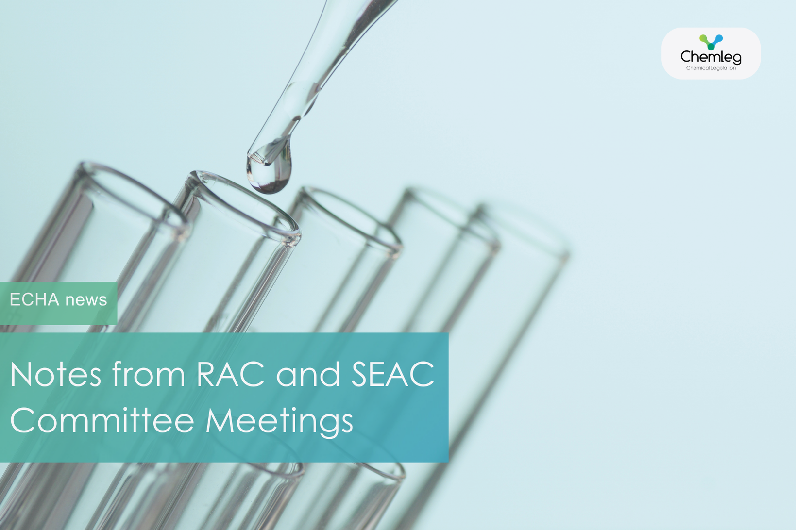 Notes from RAC and SEAC Meetings in November