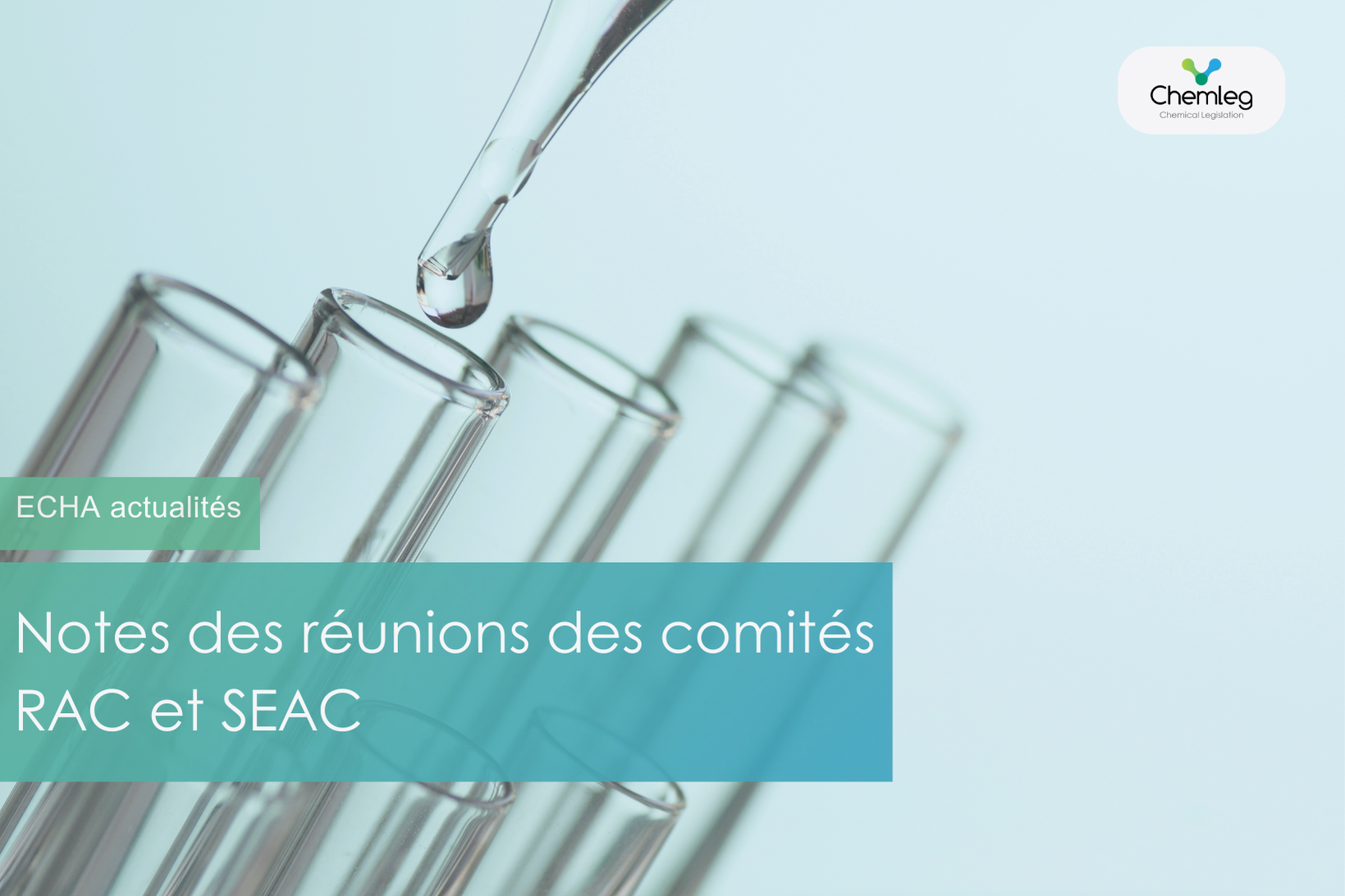 Notes des réunions RAC et SEAC en novembre