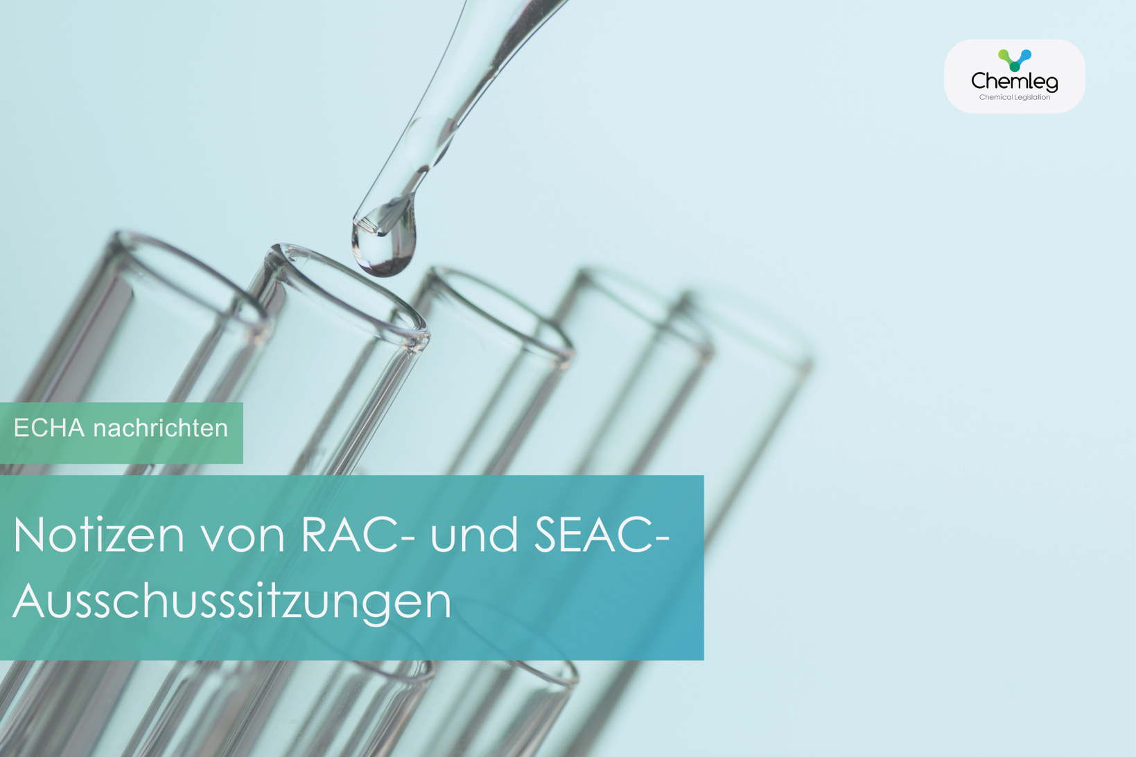 Notizen zu den RAC- und SEAC-Sitzungen im November