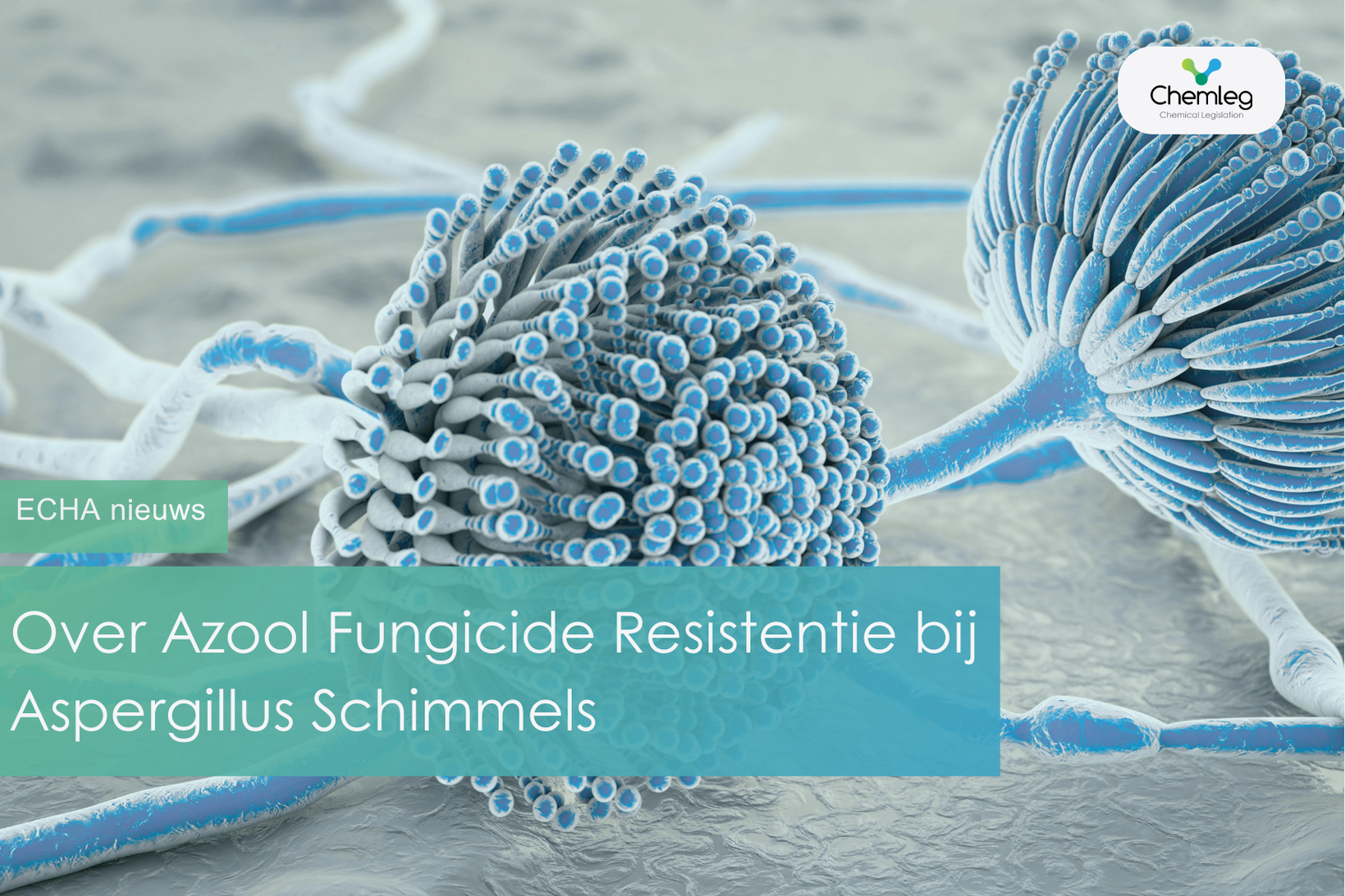 Over Azool Fungicide Resistentie bij Aspergillus Schimmels