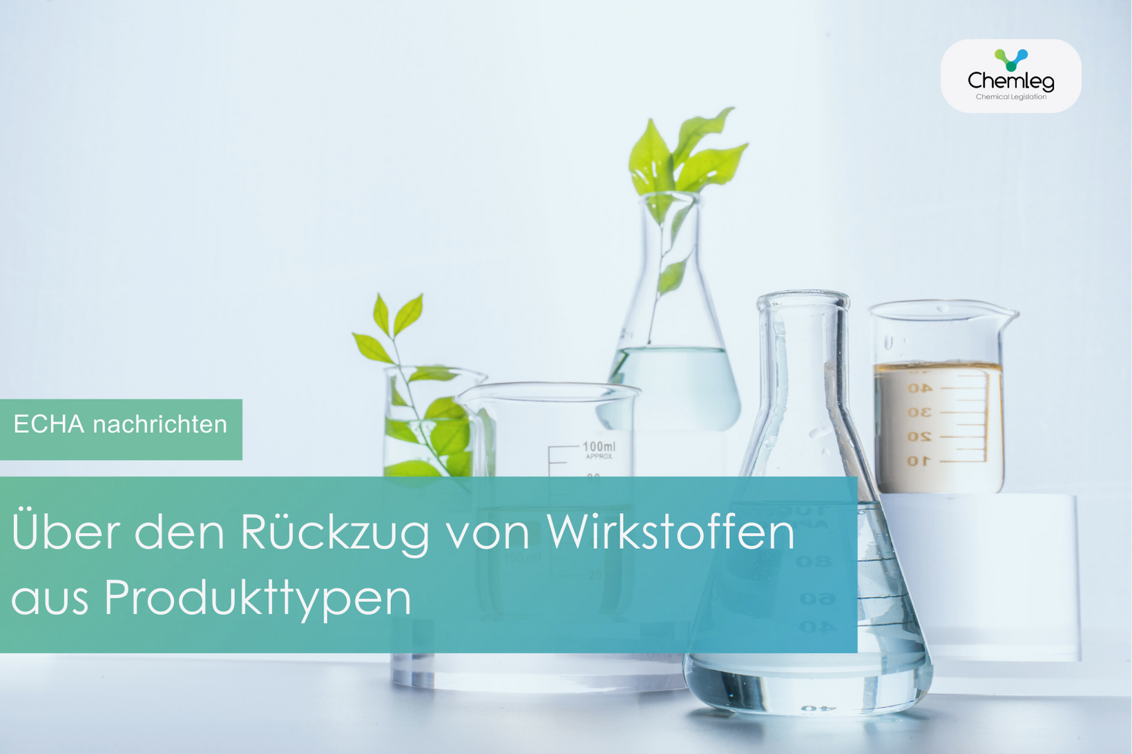 Über den Rückzug von Wirkstoffen aus Produkttypen