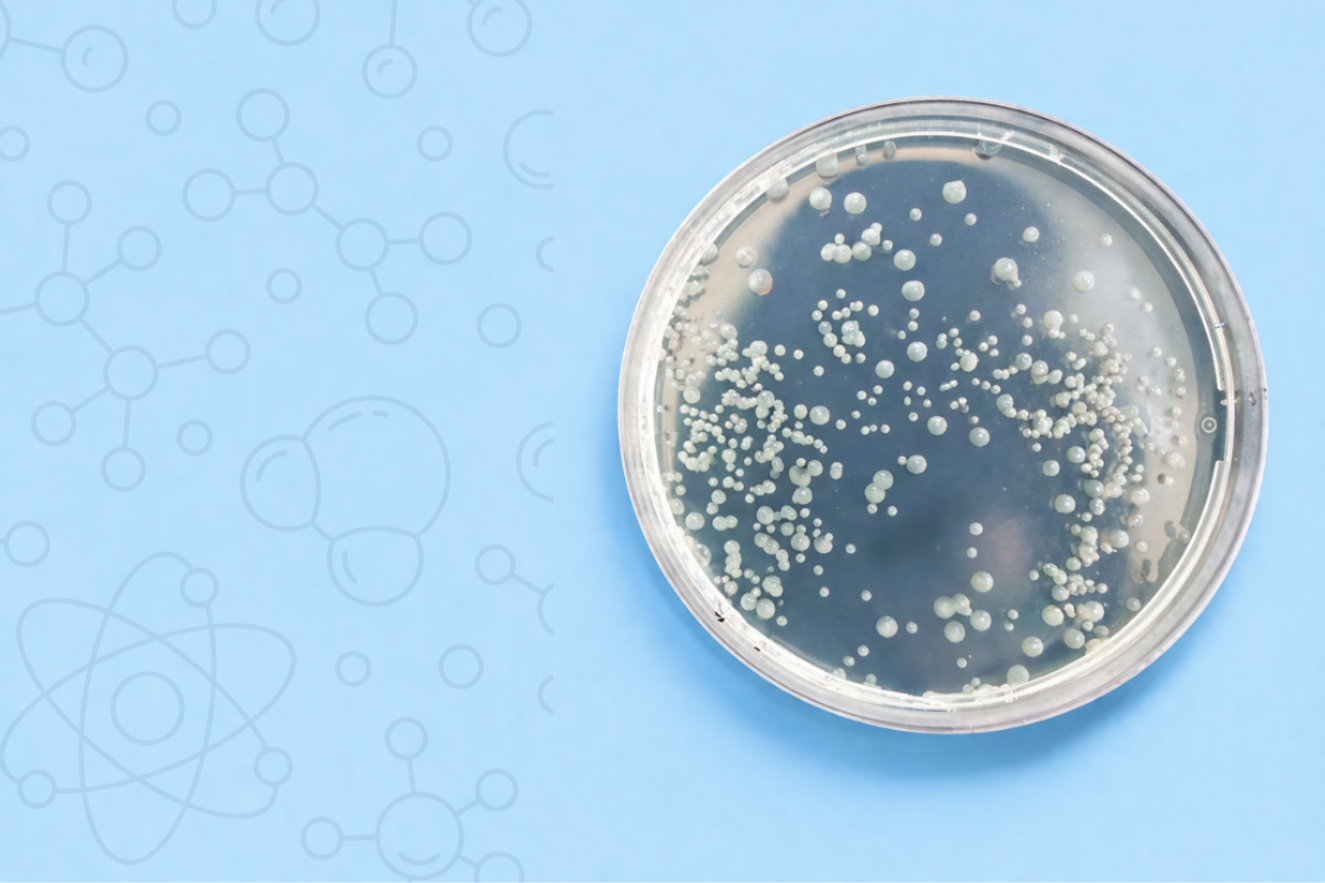 Over het gebruik van PT2- en PT4-biociden in de strijd tegen Legionella